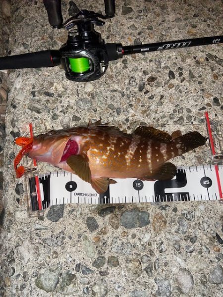 リールのドラグがwww