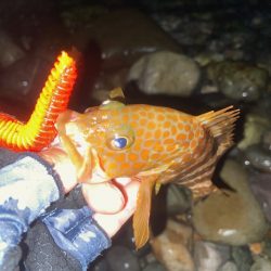 福井が調子悪いので富山へ。。。。