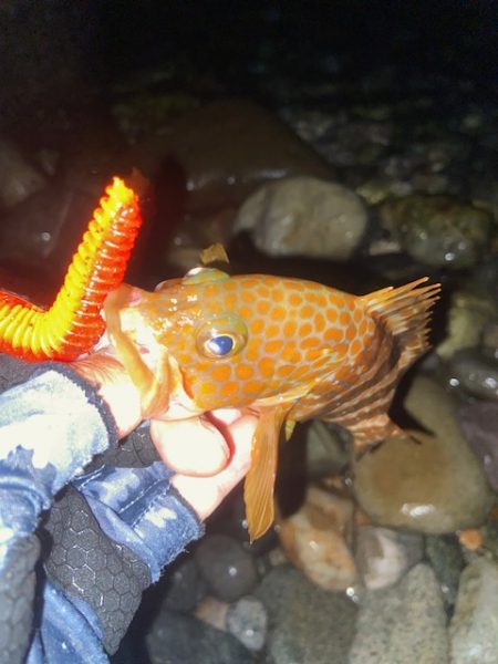 福井が調子悪いので富山へ。。。。