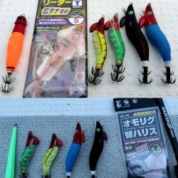 敦賀沖マイカ（剣先イカ）釣り！