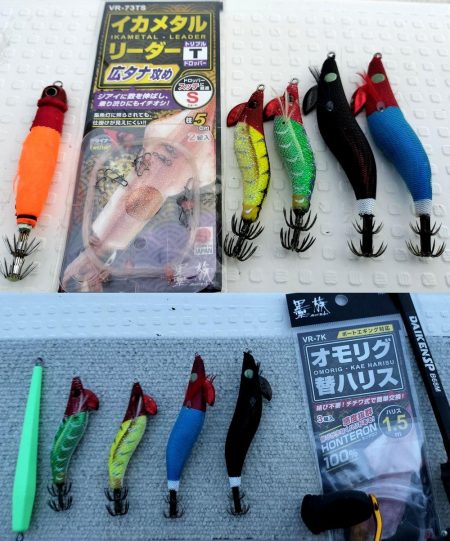 敦賀沖マイカ（剣先イカ）釣り！