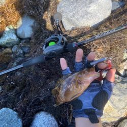 現地でラインを移植することにｗ