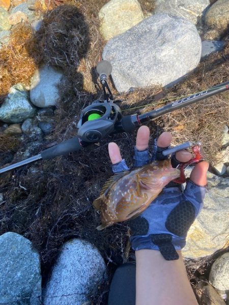 現地でラインを移植することにｗ