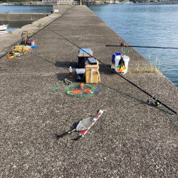 久礼新港外向き