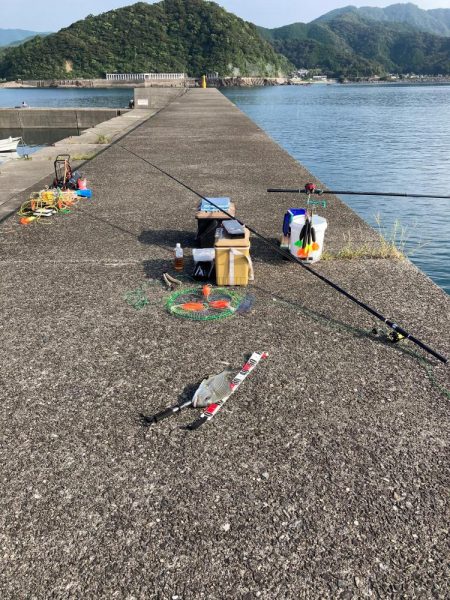 久礼新港外向き