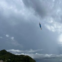 やっぱり激渋で今年の日本海アオリイカはハズレ年!