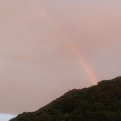 秋風が吹く曇天の大潮