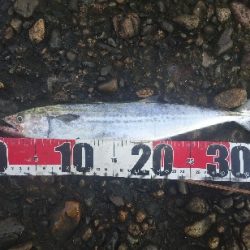 漁船が行き交う午後の大潮