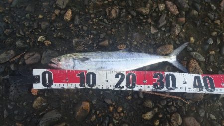 漁船が行き交う午後の大潮