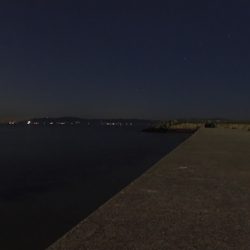 アオリイカ新子祭り