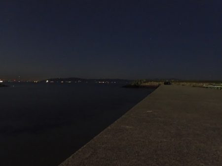 アオリイカ新子祭り