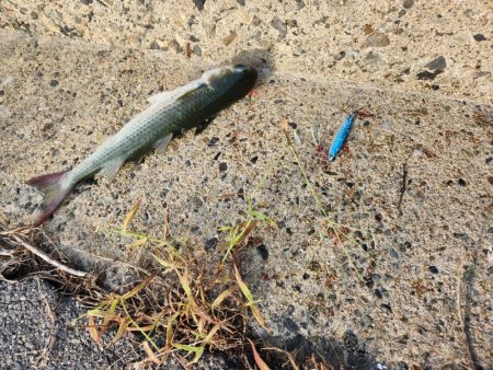 なかなかの引きでした