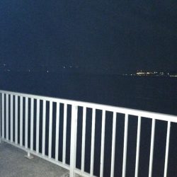 タチウオ、大サバ