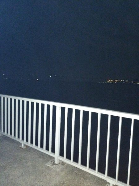 タチウオ、大サバ