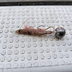 一つテンヤ真鯛in明石☆