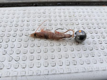 一つテンヤ真鯛in明石☆