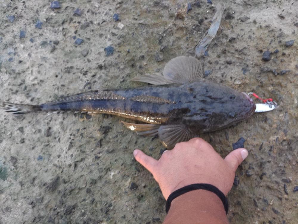 久しぶりの仕事前の朝練成功♪