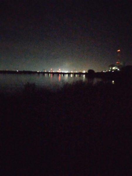 久しぶりの一本