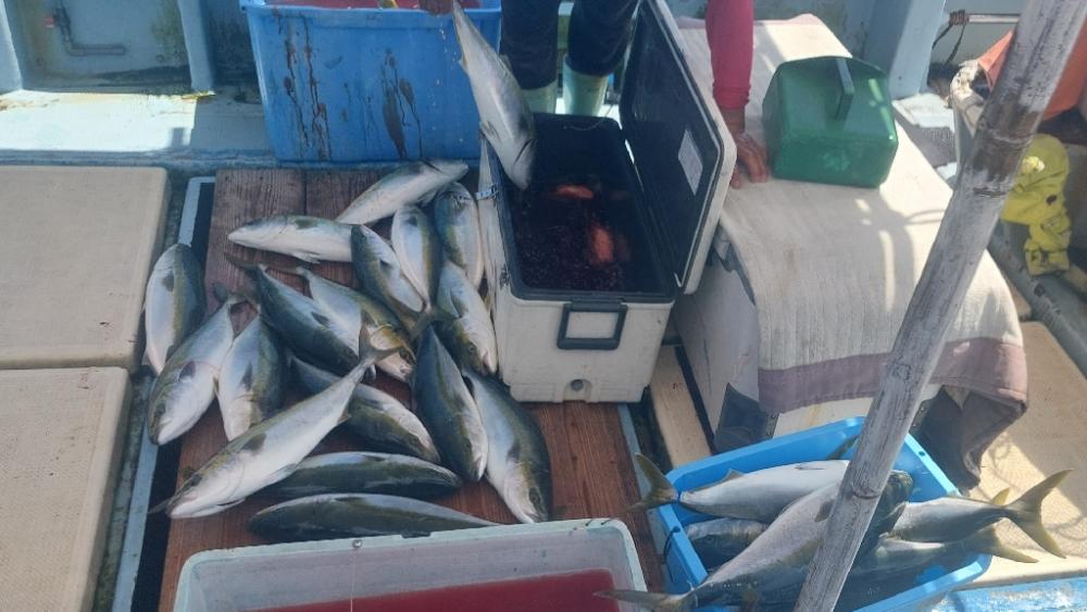 沼島のジギングと落とし込み