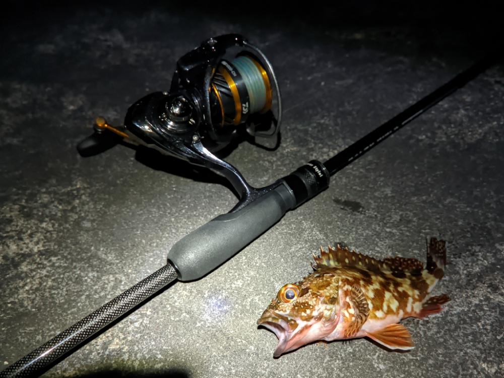 風が強い日はだめ