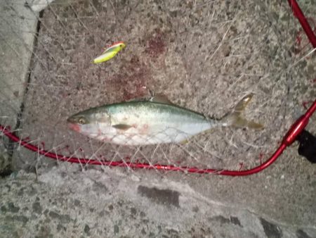 プチsalt water game