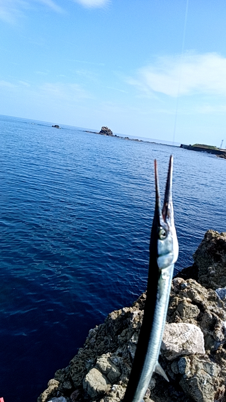 まだまだ夏を引きずってる感じ！