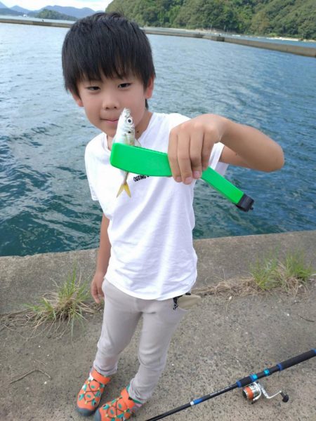 釣ってみたかったサヨリ