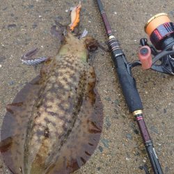 曇時々雷雨エギングIN対馬