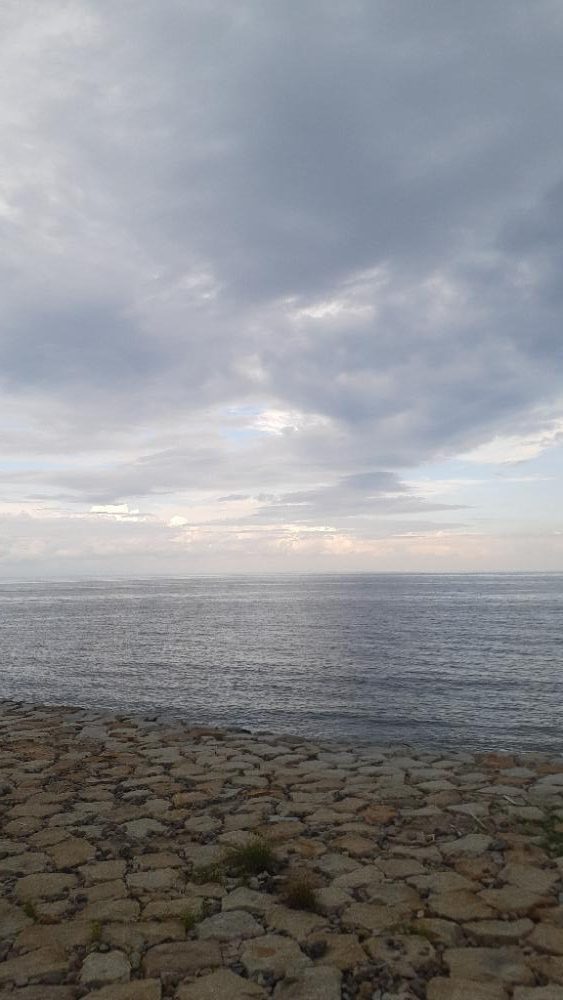 安定のハゼ(^.^)