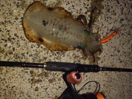 シゴオワエギングIN対馬