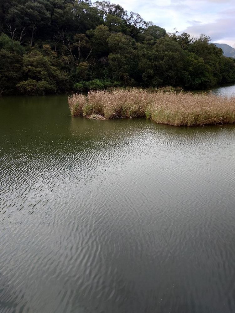 仕事前フィッシング