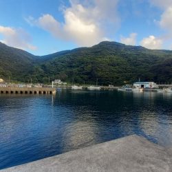 ちびっ子シマアジ