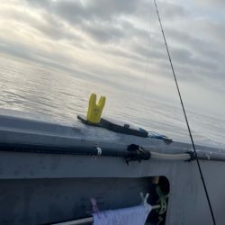 今季のカワハギ釣り開幕戦です