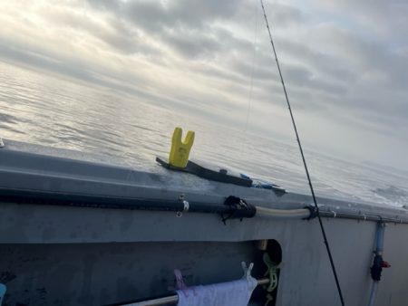 今季のカワハギ釣り開幕戦です