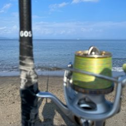 錦江町で投げ釣り