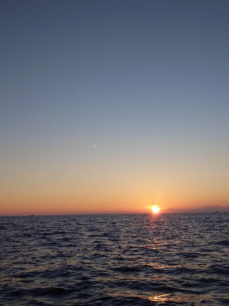 今年初の五目ジギング