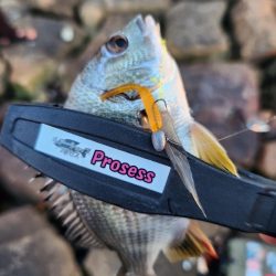 イベントにいってきた～