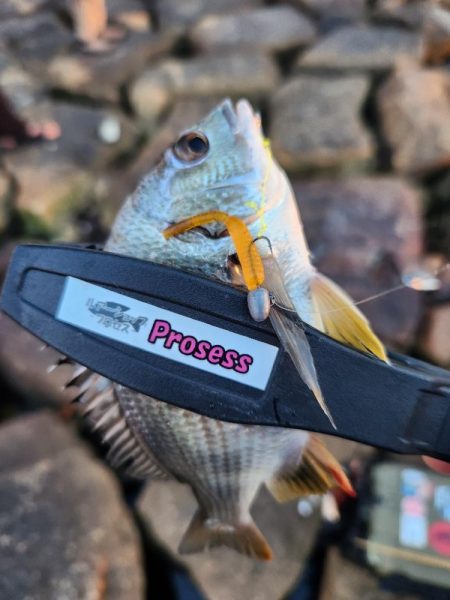 イベントにいってきた～