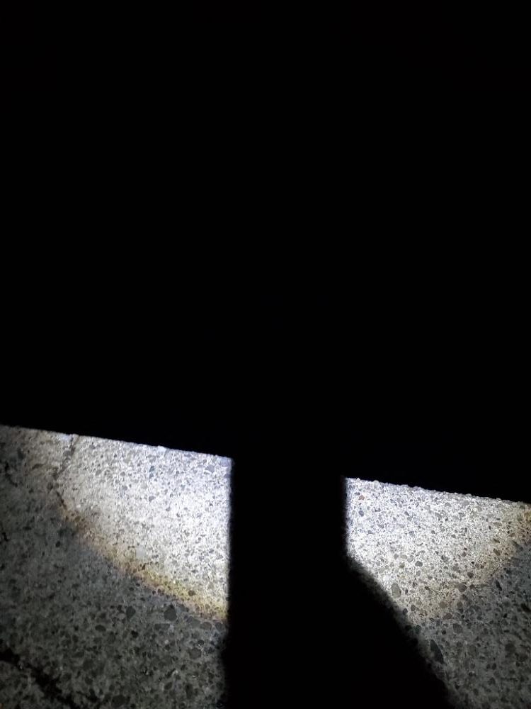 ナイトエギング