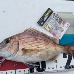 ちょい投げシロギスタ、終了間際の猛チャージ