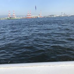 周りでサゴシが釣れるなか