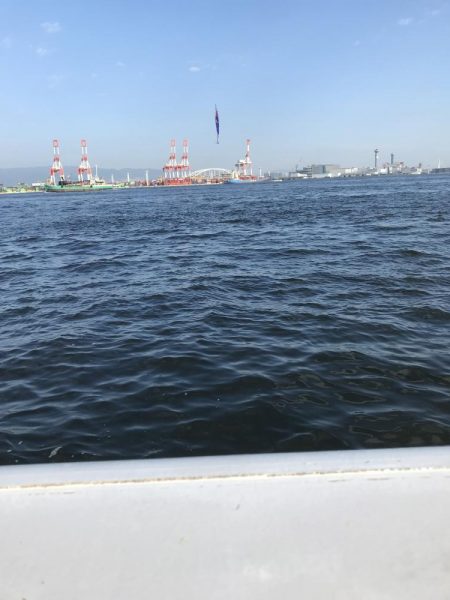 周りでサゴシが釣れるなか