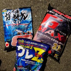 和歌山大引の磯でフカセ釣り