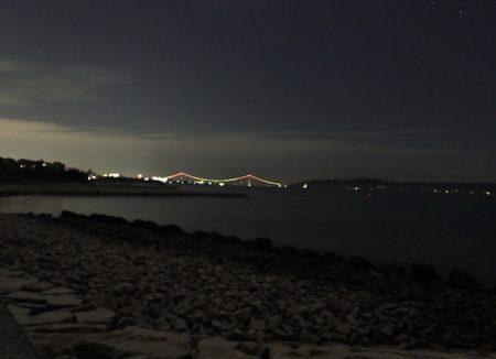 アオリイカ大きくなってます