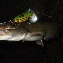 まだまだ夏のパターン