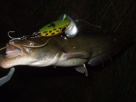 まだまだ夏のパターン