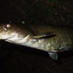 秋のハイシーズンまでもう少し