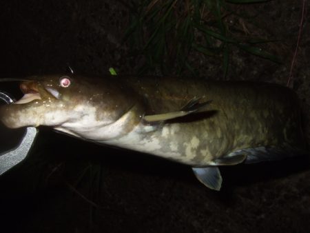 秋のハイシーズンまでもう少し