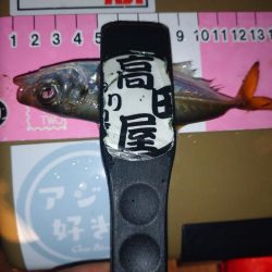 今夜もアジング