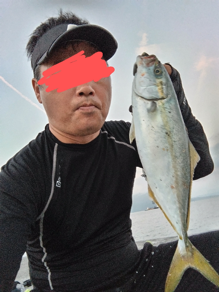 ヤズ(ブリ幼魚)釣れました!